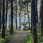 Elegant With Privat Sauna Close To Baltic Sea On Wolin Island بيت للعطل Wisełka