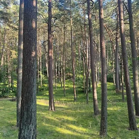펜션 Grosses An Der Ostsee Insel Wollin