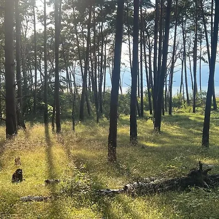 펜션 Grosses An Der Ostsee Insel Wollin